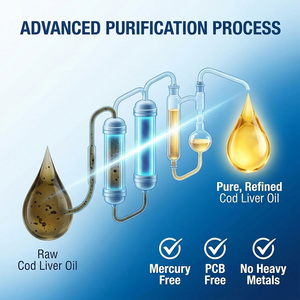 Complément Alimentaire en Capsules Molles, Soin des Yeux, Renforcement de l'Immunité, <span class=keywords><strong>Huile</strong></span> de Foie de Morue, Glycérine Végétale, Capsules de Gélatine - Product Image 2