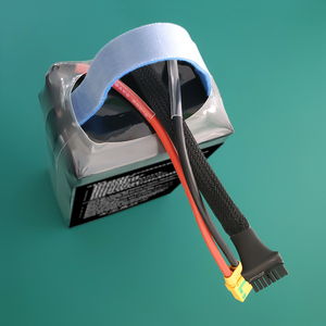 Baterías Lipo de Estado Sólido de 6s/12s/14s/18s/24s 10c 22000mah 275Wh/kg con Certificación CE y 12 Meses de Garantía para Dispositivos Grandes de Larga Duración - Product Image 6