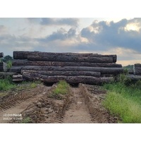 Vente en gros en usine de grumes de bois de ferme TALI panneau africain de haute qualité du Congo