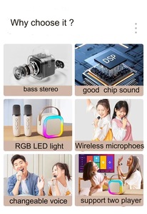 Bán buôn LED mini xách tay không dây BT âm thanh hộp âm thanh loa siêu trầm 5 Wát với micro không dây 1200mAh karaoke Đảng Loa - Product Image 2