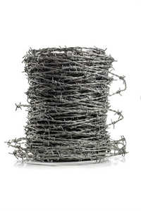 Dây thép gai dây thép gai hàng rào an ninh/Dây dao cạo Trung Quốc - Product Image 5