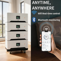 Batterie de stockage d'énergie modulaire séparée 51.2V 48V LiFePO4 10KWh 15KWh 16KWh 20KWh empilable avec conception CAN pour système solaire