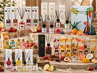 Diffuseur de parfum d'ambiance écologique en verre, parfum frais et fruité longue durée, huile essentielle, ensemble avec bâtonnets en rotin
