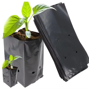 Sacs <span class=keywords><strong>de</strong></span> plantation <span class=keywords><strong>en</strong></span> polyéthylène noir et blanc, sacs <span class=keywords><strong>de</strong></span> plantation <span class=keywords><strong>en</strong></span> plastique pour plantes <span class=keywords><strong>en</strong></span> <span class=keywords><strong>pot</strong></span>, sacs <span class=keywords><strong>de</strong></span> pépinière - Product Image 3