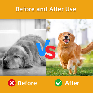 Suplementos de apoio a alergias para cães e gatos Alívio eficaz para Pet Itch Qualidade Pet Health Care Supplements - Product Image 2