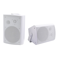 Haut-parleur mural HIFI CS-5 100W WiFi 5.4 Airplay DLNA pour la maison et l'extérieur