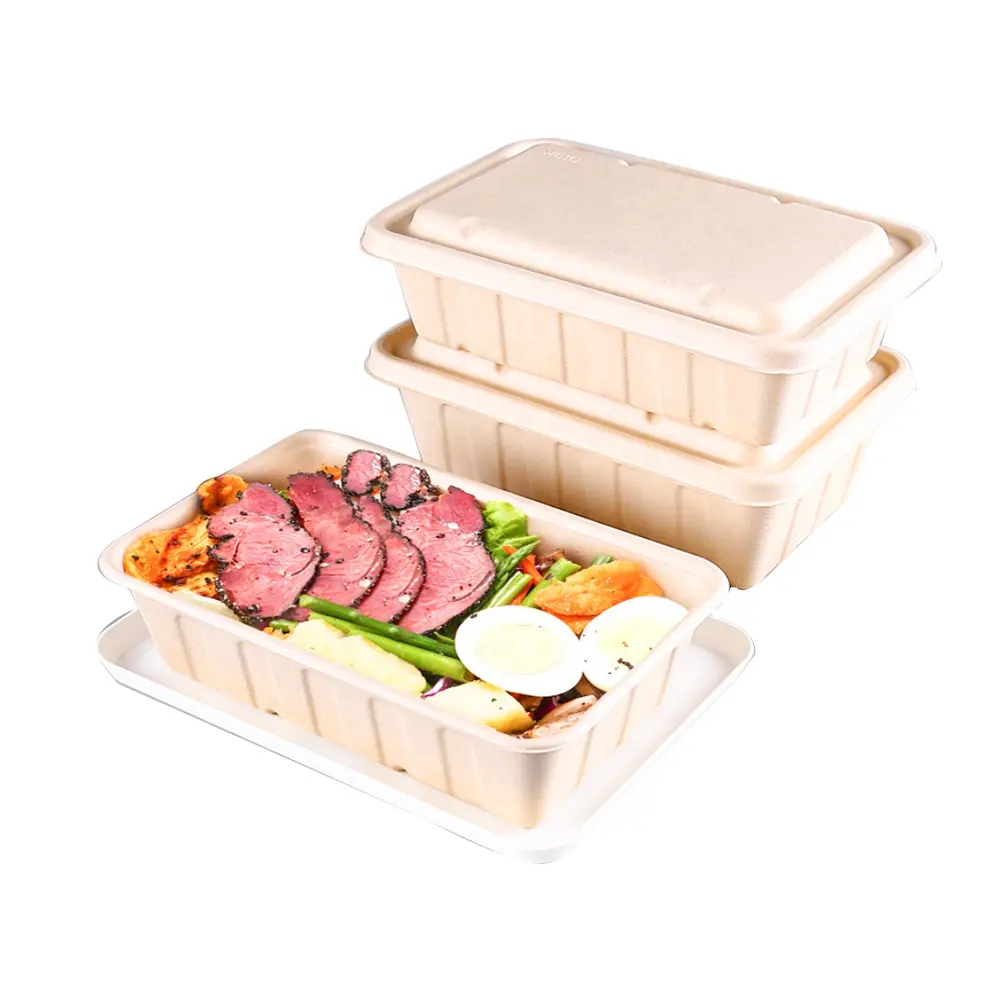 Eco-Voedselverpakkingen Biologisch Afbreekbaar Neem Lunchboxen Bento-Voedselcontainer Met Deksel Suikerriet Bagasse Naar Wegwerpvierkant