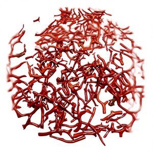 Coral rouge naturel de qualité supérieure, toutes formes, calibré, poli, cabochon, certifié par un tiers, taille personnalisable FAIJAN - Product Image 1