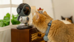 Hd אבטחה הביתה מצלמת חיות מחמד צג חיות מחמד צג חיות מחמד צג ה-wifi מצלמה פנימית wifi - Product Image 3