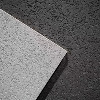 Peinture acrylique en spray pour murs extérieurs, texture granit, revêtement liquide effet pierre et sable, finition mate