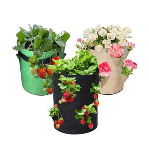 Sac de culture incliné non tissé de 10 gallons pour pommes de terre et fraises, sacs de culture de légumes avec poignée - Product Image 1