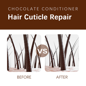 Etiqueta privada Esencia de plantas orgánicas Manteca de cacao Hidratante para el cabello Control de aceite Champú y <span class=keywords><strong>acondicionador</strong></span> - Product Image 4