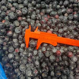 Grosir grosir ekspor IQF Blueberry Frozen Harga segar untuk buah Frozen - Product Image 2