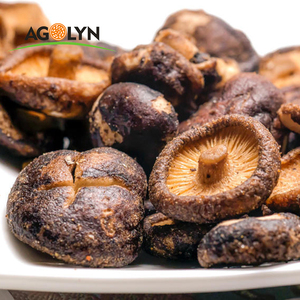Mycélium de champignon Shiitake séché, <span class=keywords><strong>prix</strong></span> avantageux, fabriqué en Chine - Product Image 6