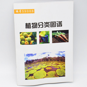 Atlas de Clasificación de Plantas 59008, Equipo para Experimentos Científicos de Escuela Primaria e Instrumento de Enseñanza de Biología, Fabricante - Product Image 2