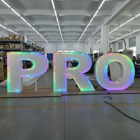 Enseigne LED personnalisée autoportante de 1,2 m avec lettres lumineuses pour fêtes, enseigne néon avec support et toile de fond pour mariages et anniversaires