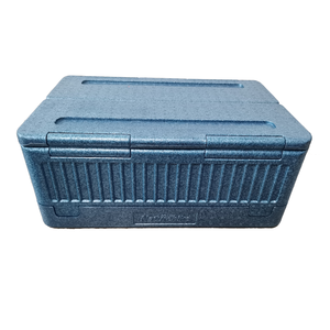 Cheap Food Transport Cooler EPP Folding Cooler Box