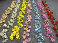Tanaman Hias Desert Banksiae Wisteria Palsu, Tanaman Rambat Baru, Tunas Tanaman Rambat Himalaya Lace Glory, Duri Tanaman Rambat, Duri Mandevilla, Mawar