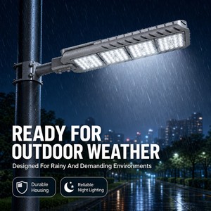 <span class=keywords><strong>Lampadaire</strong></span> LED en aluminium à corps fin AC220V IP65 55W 125W 250W pour jardin, autoroute, extérieur, poteau, idéal pour les projets - Product Image 2