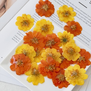 Venta de Material para Colgante DIY de Crisantemo Rizado, Cabeza de Flor de Resina Real, Accesorios Hechos a Mano Estilo Bosque de Hadas <span class=keywords><strong>Cosmos</strong></span> - Product Image 2