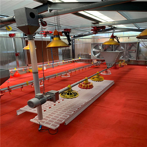 Giá Tốt Nhất Gà Thịt Chảo Hệ Thống Cho Ăn Với Siêu Giá Rẻ Bán Hàng Nóng - Product Image 5