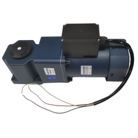 250W AC angle droit arbre creux micro motoréducteur monophasé 220V avec protection thermique réducteur haute vitesse