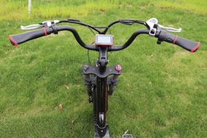 Bafang vélo de montagne électrique <span class=keywords><strong>à</strong></span> entraînement arrière pour adultes, <span class=keywords><strong>pneu</strong></span> Offre Spéciale de 20 pouces - Product Image 4
