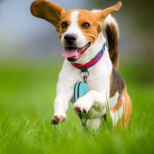 Sac à déchets biodégradable pour animaux de compagnie en amidon de maïs personnalisé Sac à déchets biodégradable pour animaux de compagnie Sac à déchets biodégradable pour les excréments de chien - Product Image 5