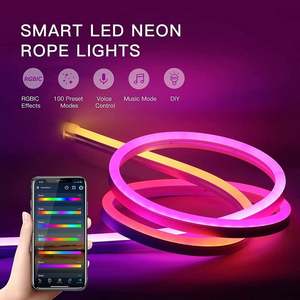 12V <span class=keywords><strong>Multicolor</strong></span> Flexible RGBIC direccionable RGB <span class=keywords><strong>LED</strong></span> cuerda de neón corte silicona pura Flex <span class=keywords><strong>tira</strong></span> de luz suave 24V <span class=keywords><strong>Tira</strong></span> De Luz <span class=keywords><strong>Led</strong></span> neón - Product Image 4