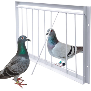 Birdstory Duurzame Metalen Rechthoek Duif Ingang Val Meerdere Maten Loft Deur Gecodeerde Actieve Uitrusting Race Benodigdheden Dichtslaan - Product Image 1