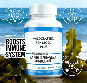 Sea Moss Capsules with Bladderwrack Burdock <strong>Muira</strong> <strong>Puama</strong> | Immune &amp; Gut Health Support Supplement - Product Image 3