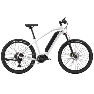 2023 nueva bicicleta 250W Motor de accionamiento medio batería de litio neumático gordo Ejercicio de montaña almacén de la UE Ebike 36V 16AH deporte EBike para adultos