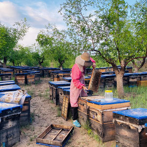 Wholesale Natural Raw Longan <strong>Honey</strong> Dark Amber Bulk Bottle Protein-Rich Manna Vitamin <strong>Kosher</strong> Certified Health Fitness Sweet <strong>Honey</strong> - Product Image 4