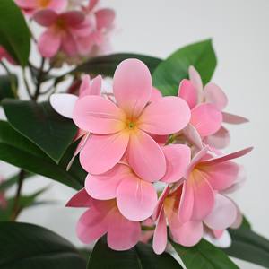 2025 <span class=keywords><strong>Plante</strong></span> Artificielle en Pot 120-180 cm Arbre <span class=keywords><strong>Plumeria</strong></span> Artificiel pour la Décoration de Bureau à Domicile - Product Image 2