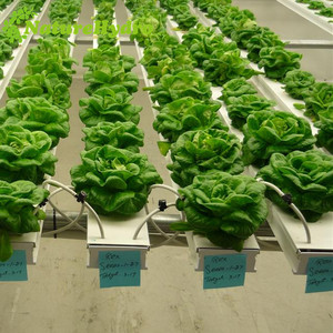 Fábrica que Suministra Sistemas de Cultivo Hidropónico NFT - Product Image 5