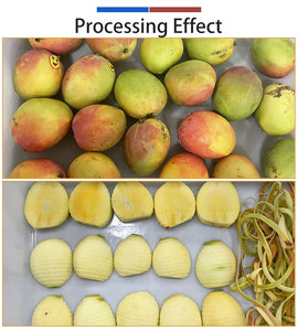 Fengxiang Customized Mango <b>Processing</b> <b>Line</b> Mango Peeler Corer Slicer Machine Mango <b>Processing</b> Plant - Product Image 5