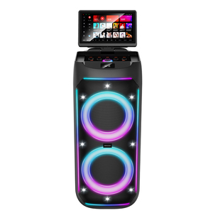 Potente Sistema Karaoke KTV Mobile con Trolley, 8'' 2-way, 2GB RAM/64GB ROM, Wi-Fi, Android 13.0, Schermo 11.6'', 120W - Product Image 1