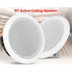 Home Wireless Airplay Ceiling Speaker Built in Amplifier DLNA Audio System Support WiFi BT USB Multi-room playback