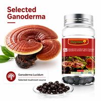 Capsules de Ganoderma Lucidum en gélules molles à marque privée – Soutien quotidien pour le bien-être et la vitalité – Fabricant en gros OEM/ODM
