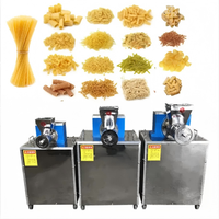 Machine automatique à pâtes en acier inoxydable, moteur puissant, haute capacité 30 kg/h, haute efficacité, garantie 1 an pour restaurant