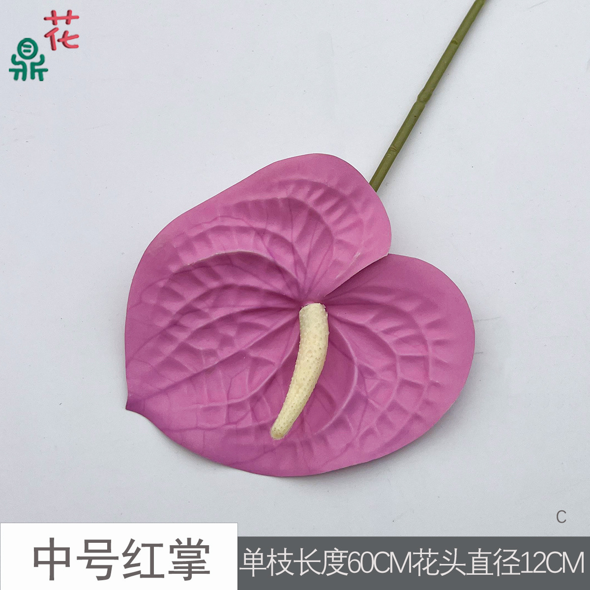 Anthurium rouge de taille moyenne C 23 violet rosé