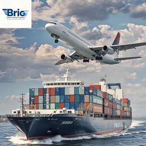 Custom Clearance China Shipping Agent to USA Professional Sea Freight Forwarder LCL+Express <b>Dropshipping</b> to France - Product Image 1