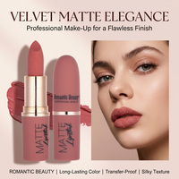 Gloss à lèvres vegan, rouge à lèvres mat imperméable avec fini velours pour lèvres sèches, aspect naturel, contenants de rouge à lèvres avec logo personnalisé