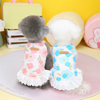 Robe de princesse pour chien à bas prix, en stock, vêtements pour animaux de compagnie, nouvelle collection printemps/été 23, robe florale romantique d'été