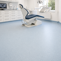 Homogener PVC-Vinylbodenbelag in Rollenform, Nicht-Direktional, Pflegeleicht, Kommerzieller Bodenbelag für Krankenhäuser, Schulen und Kliniken