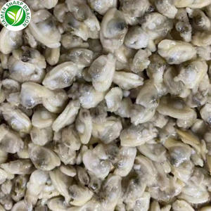 미식가 요리 모험을위한 쉘 프리미엄 품질의 해산물이없는 냉동 목 조개 고기 - Product Image 5