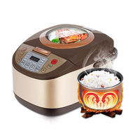 Cuisinière à riz électrique automatique - Capacité de 5 L, cuisson multi-modes avec contrôle numérique du minuterie et cuve intérieure antiadhésive pour usage domestique
