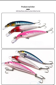 <span class=keywords><strong>Le</strong></span> Bole <span class=keywords><strong>pour</strong></span> Sea Wanderer SXR Minnow 10/12/14cm, leurre dur artificiel en acier inoxydable <span class=keywords><strong>pour</strong></span> la pêche à la traîne, <span class=keywords><strong>pour</strong></span> <span class=keywords><strong>le</strong></span> maquereau espagnol, <span class=keywords><strong>le</strong></span> <span class=keywords><strong>loup</strong></span> de mer et <span class=keywords><strong>le</strong></span> smelt - Product Image 6