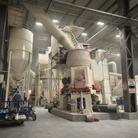 Broyeur vertical à rouleaux pour perlite expansée OEM, contrôle PLC, moteur AC Siemens, capacité 0,5-12 t/h pour la production de poudre micronisée
