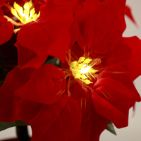Guirlande lumineuse LED 2025 pour pot de fleurs artificielles - Artisanat de luxe fait main, cadeau d'anniversaire, soins personnels, chambre à coucher, table de chevet